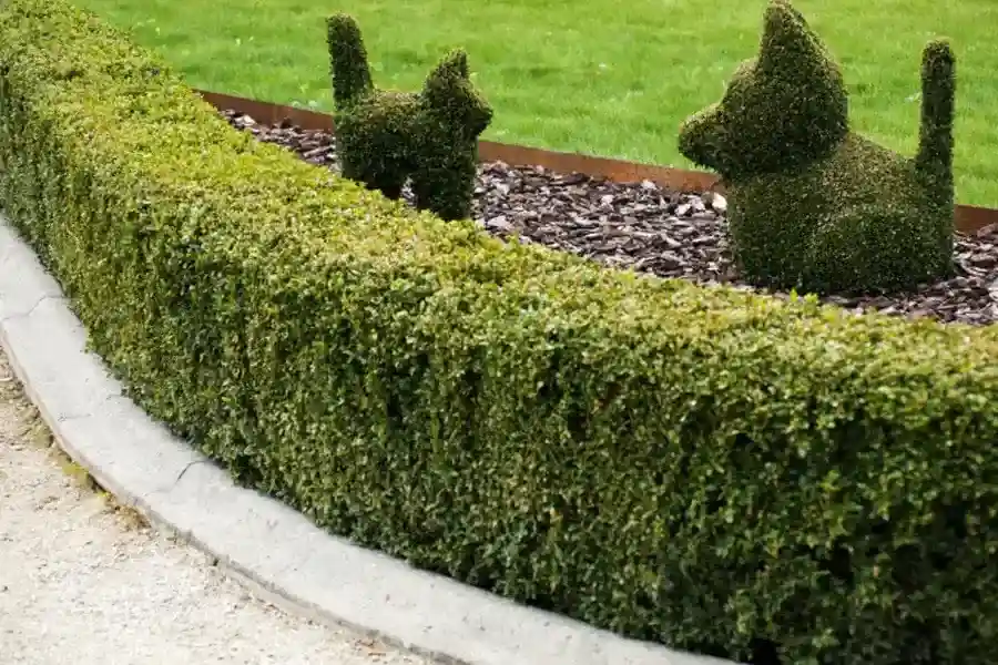 Quality Concrete Curbing Lubbock, TX